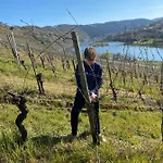 Landgasthof Zur Sonne Affittacamere Enkirch