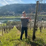 Gæstehus Landgasthof Zur Sonne