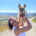 Gæstehus Landgasthof Zur Sonne 3*