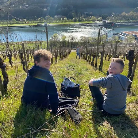 Landgasthof Zur Sonne 3* Enkirch