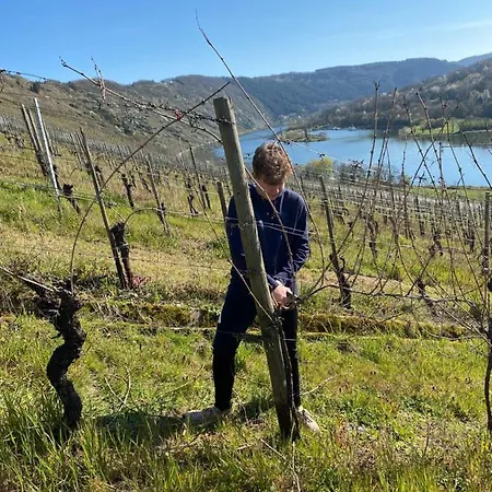 Landgasthof Zur Sonne 招待所 恩克里克