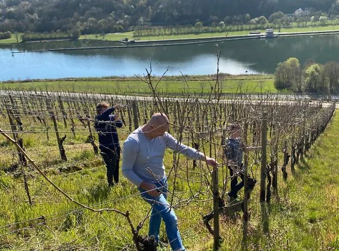 Landgasthof Zur Sonne Enkirch