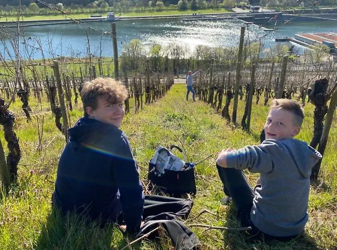 Landgasthof Zur Sonne 3* Enkirch