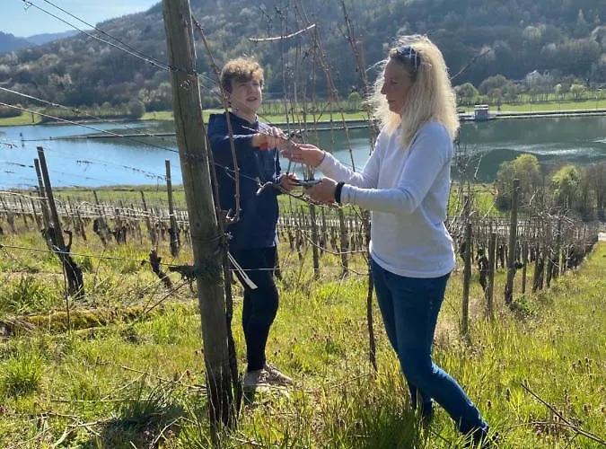 Gasthof Landgasthof Zur Sonne 3*