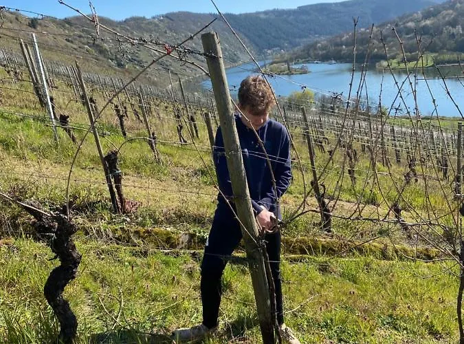 Landgasthof Zur Sonne Gasthuis Enkirch