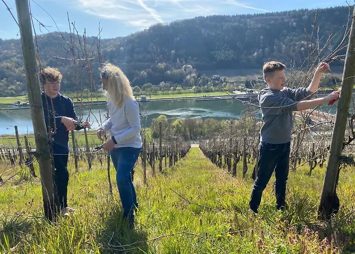 Landgasthof Zur Sonne Gasthof