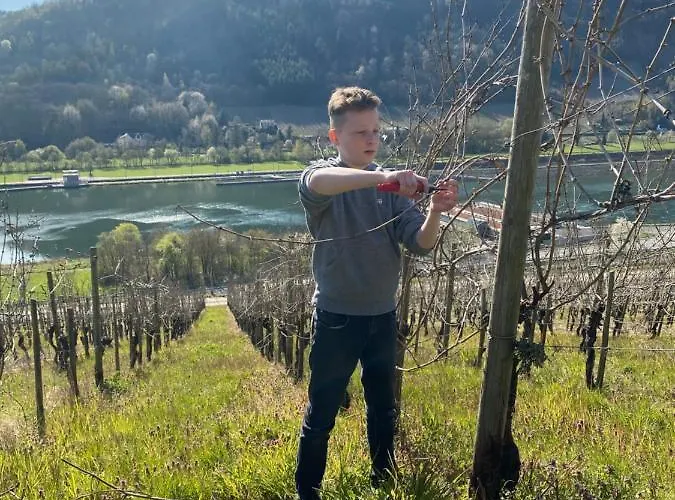 Gasthuis Landgasthof Zur Sonne