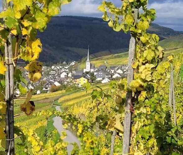 Landgasthof Zur Sonne Gasthuis